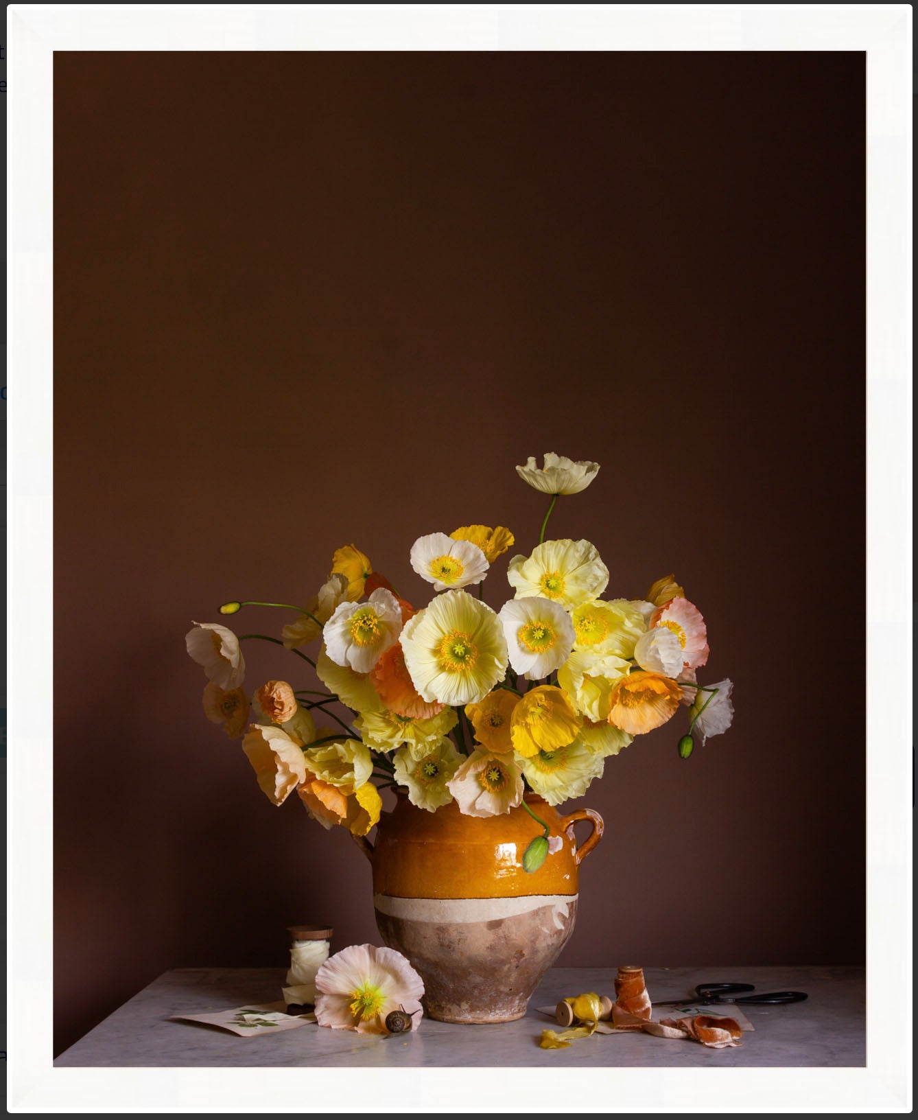 Framed botanical still-life of yellow poppies
