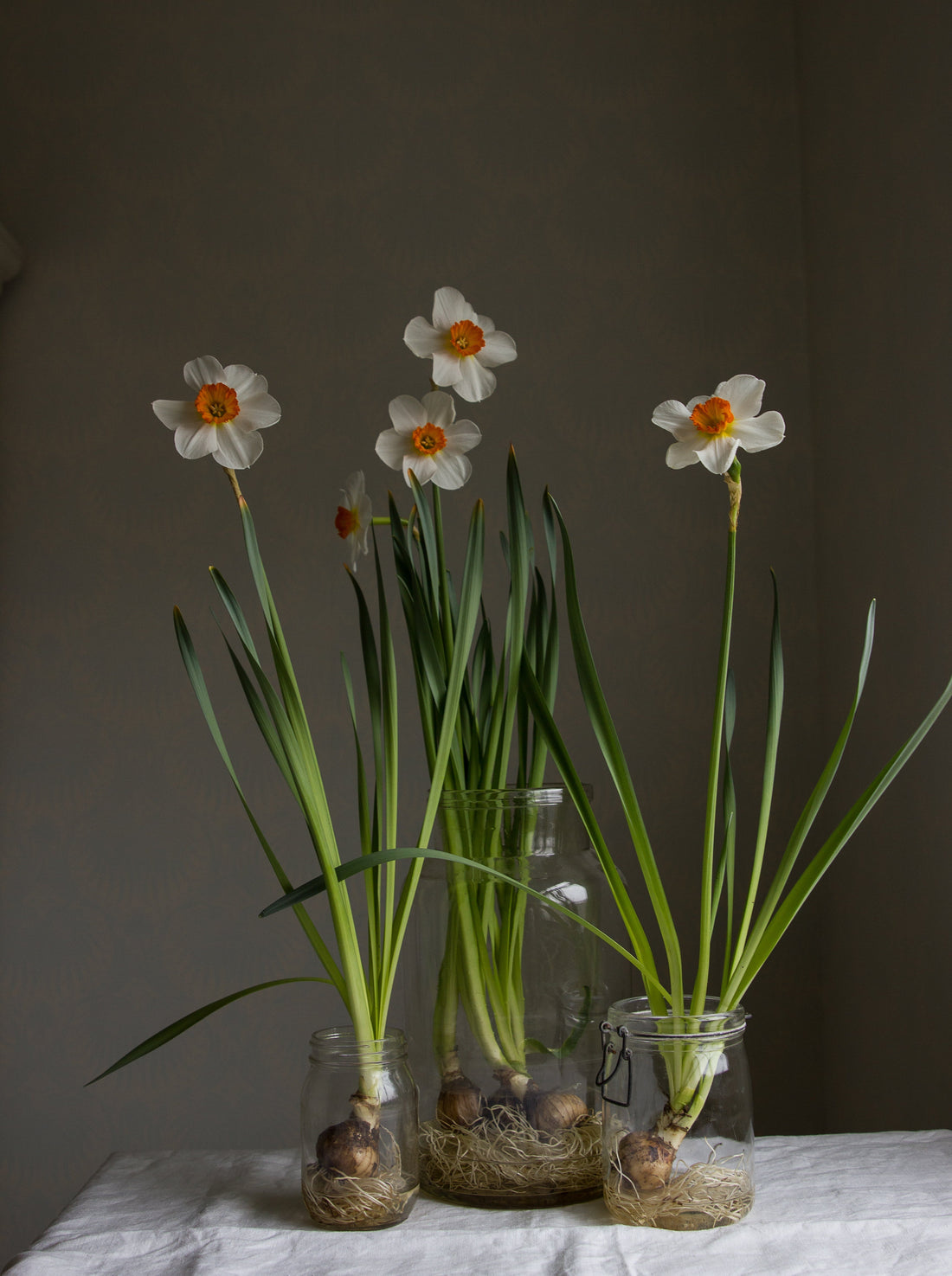 Bulbs & Bottles Tutorial