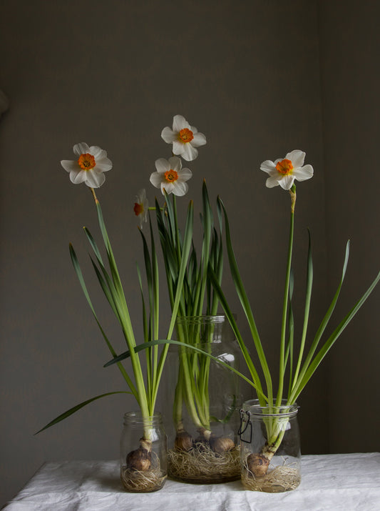 Bulbs & Bottles Tutorial