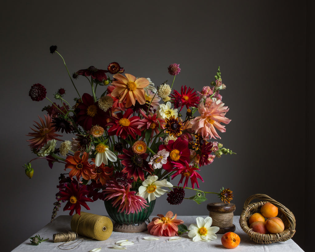 Apricot & Dahlia fine art floral print by Emma Harris