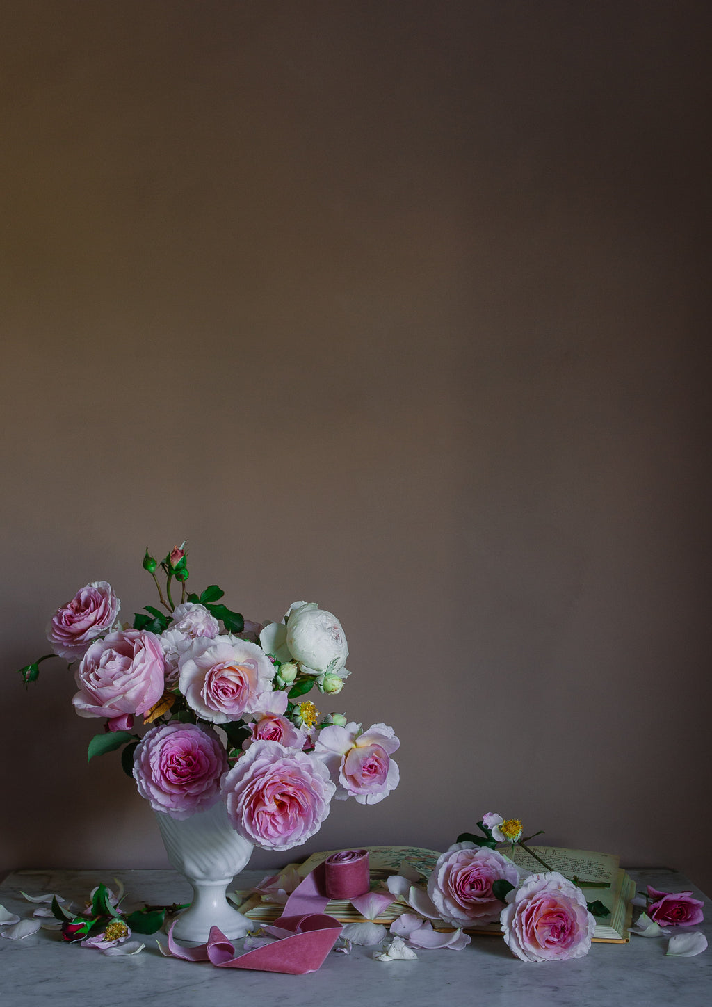 Floral Still life art print of pink roses the birth flower for june by photographer Emma Harris