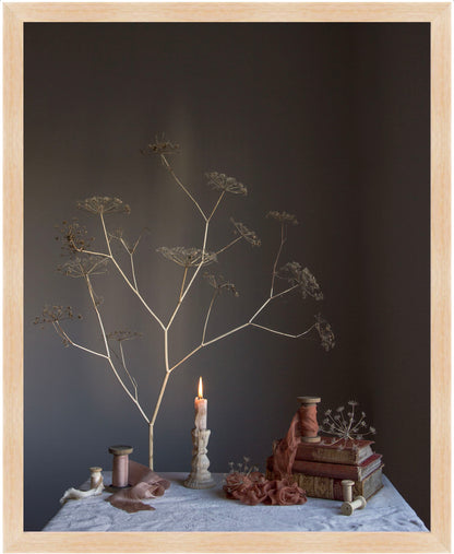 Decorative setup with dried plant, candle, books, and fabric on a dark background.   Botanical print