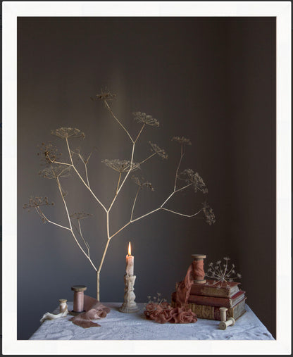 Decorative still life with dried branches, candles, and books against a dark background.   Floral photograph by Emma Harris