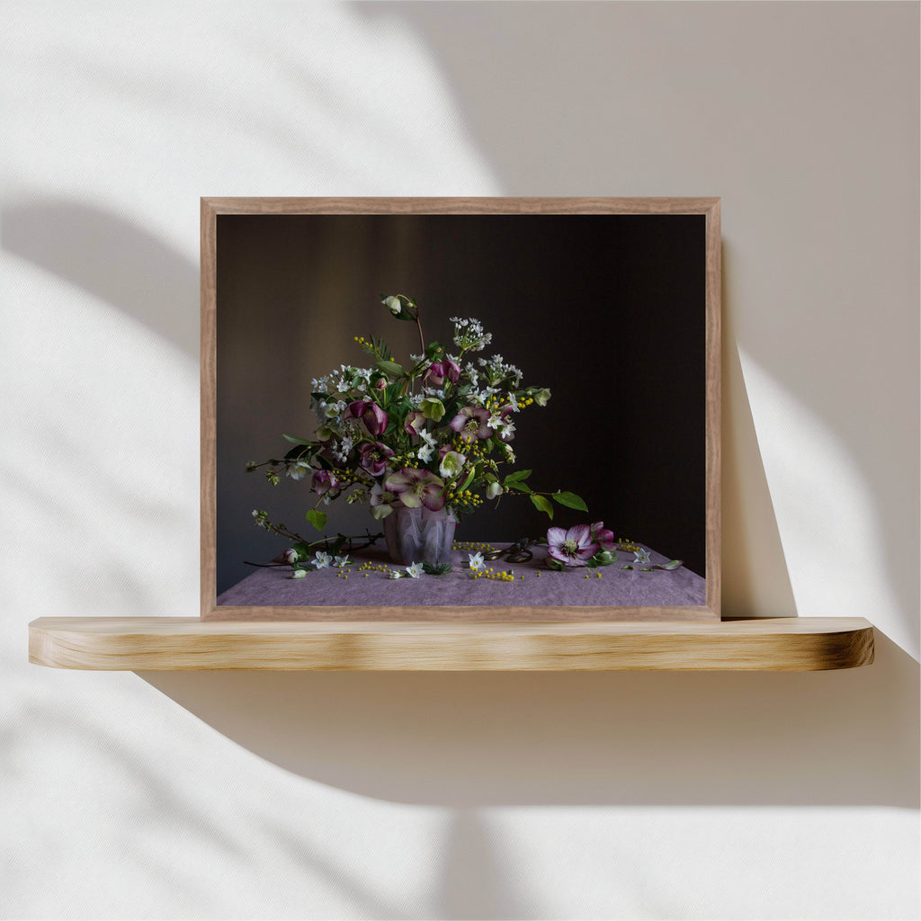 Botanical photograph