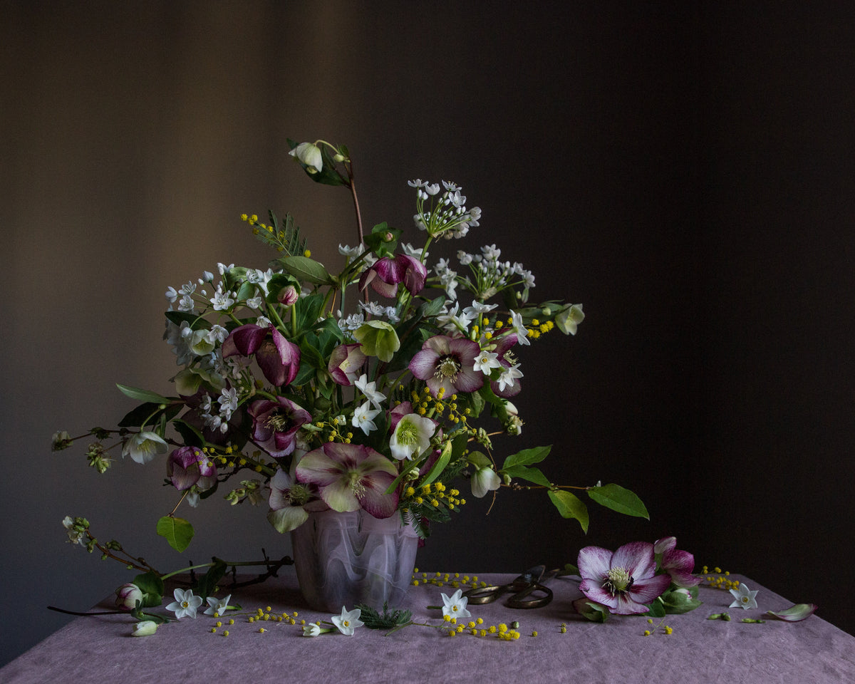 A fine art photograph featuring a botanical arrangement with hellebores and other flowers, predominantly in shades of purple, white, and yellow, printed on fine art paper by Emma Harris