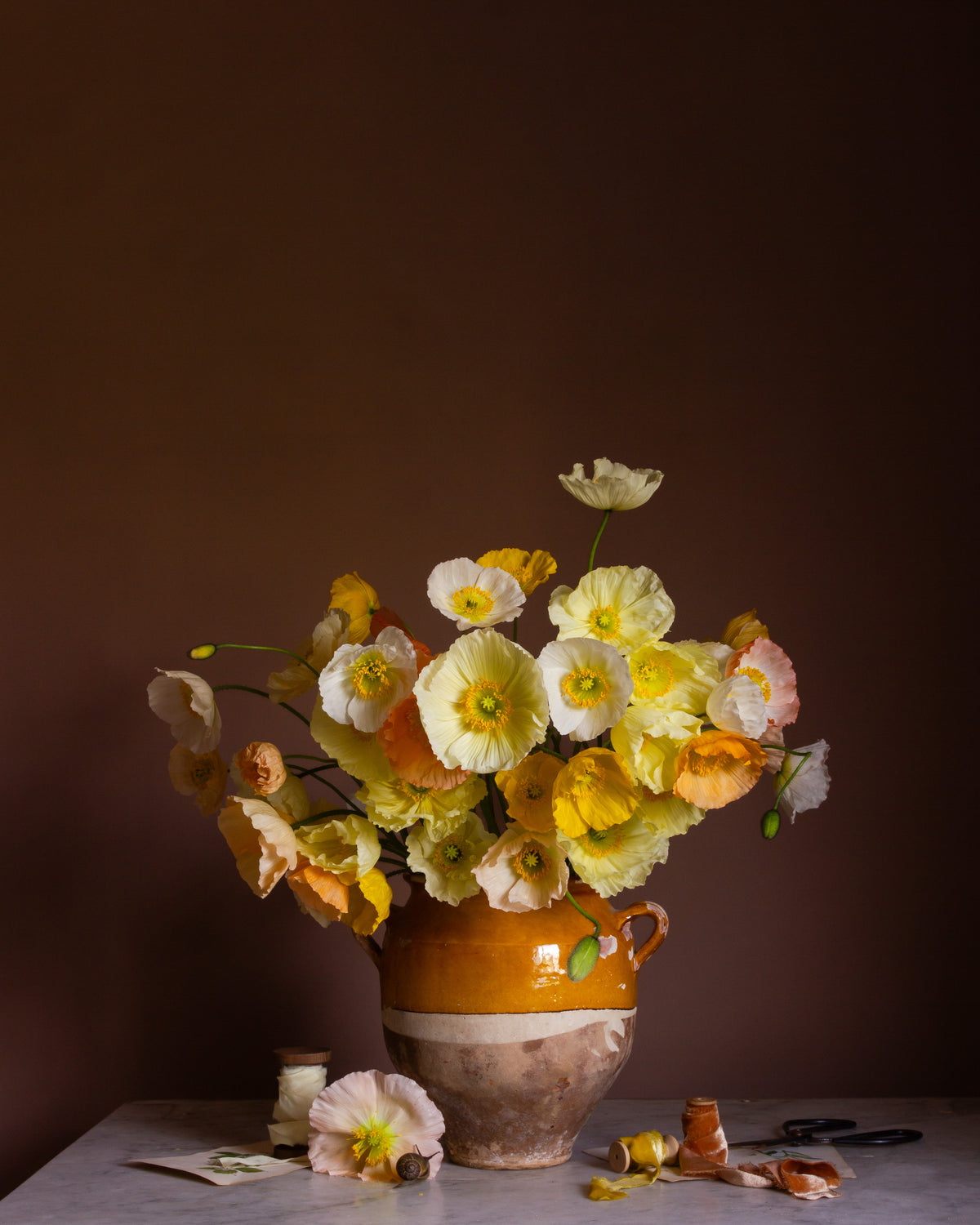 Still-life fine art floral photograph of yellow poppies by photographer Emma Harris