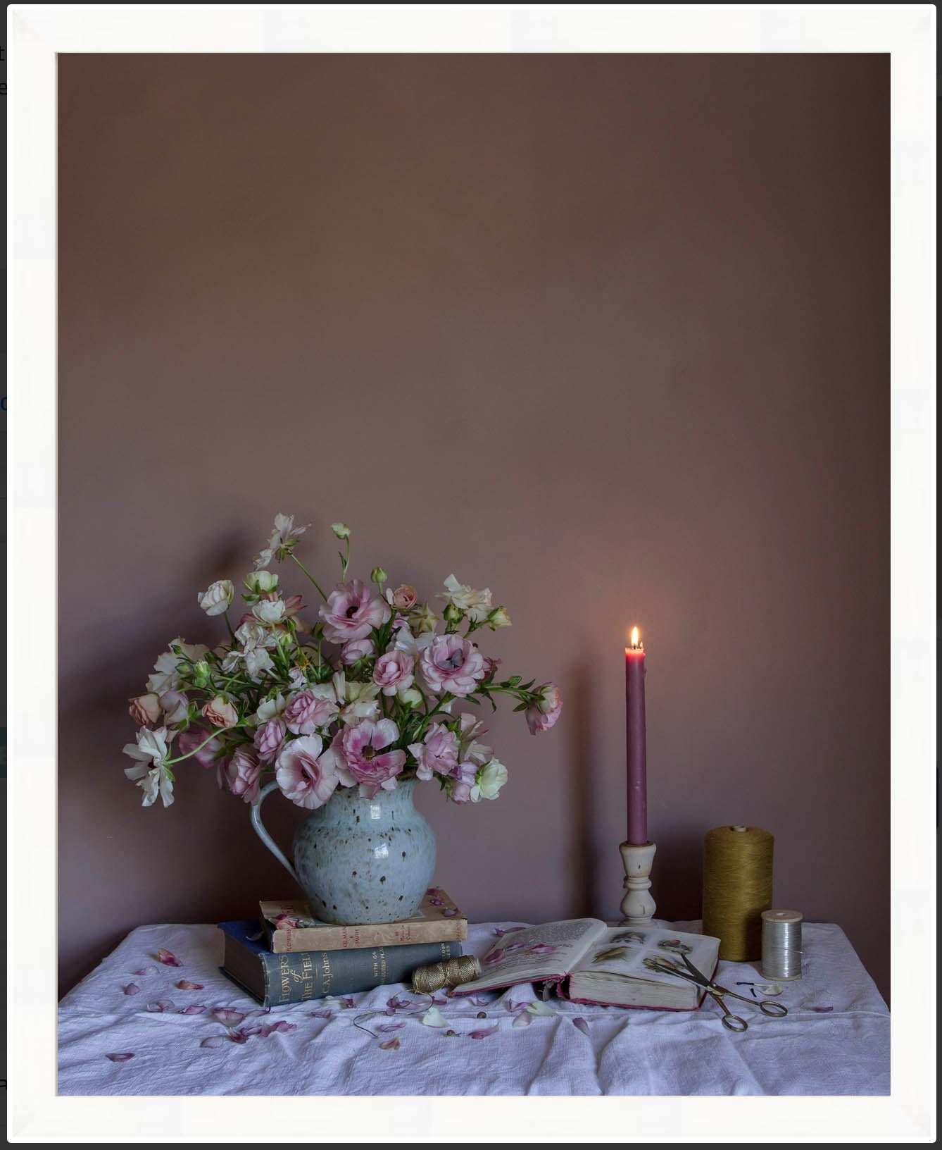 Ranunculus & Thread Limited Edition Floral Art Print by Emma Harris shown in white frame
